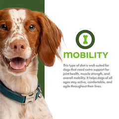 Fromm Nutritionals Mobility Chicken & Whole Oats Recipe Dry Dog Food