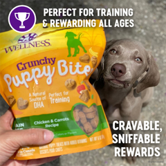 Wellness Just for Puppy Grain Free Crunchy Chicken and Carrots Puppy Bites 6oz