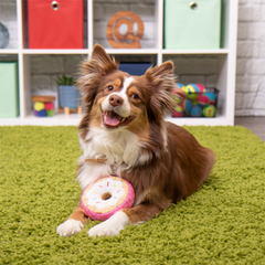 GoDog Tough N Texture Vanilla Donut Dog Toy