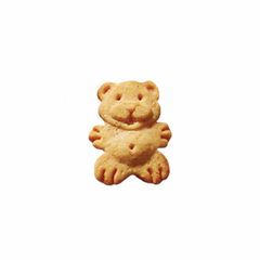 Gramma Lucy's Organic Pumpkin Baked Dog Treat 14oz