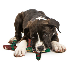Kong Pet Stix L
