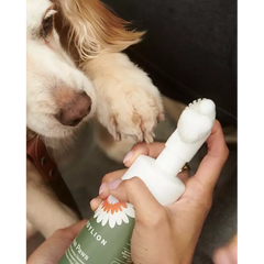 Dandylion Clean Paws 150mL