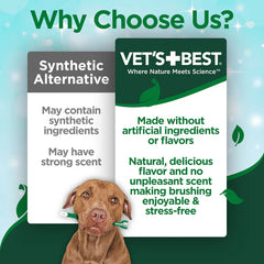 Vet's Best Enzymatic Dog Toothpaste 3.5oz
