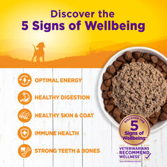 Wellness Complete Health Just for Puppy Wet Dog Food 12.5oz