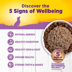 Wellness Complete Health Wholesome Grains Age Advantage Recipe for Adults 7+ 12.5oz