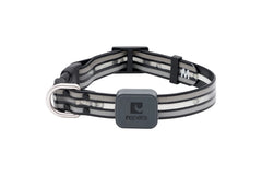 RC Pets Nova LED Light Collar