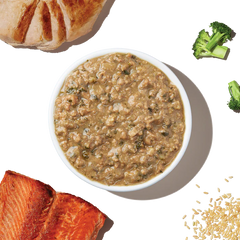 The Honest Kitchen Simmered Salmon & Chicken One Pot Stew 10.5oz