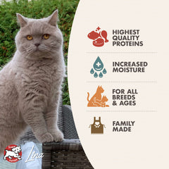 Fromm Four-Star Chicken & Salmon Pâté Wet Cat Food 5oz