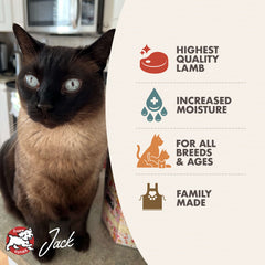 Fromm Four-Star Lamb Pâté Wet Cat Food 5oz