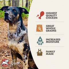 Fromm Chicken & Rice Pâté Wet Dog Food 12.2oz
