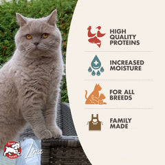 Fromm Gold Adult Chicken, Duck, & Salmon Pâté Wet Cat Food 3oz