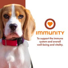 Fromm Nutritionals Immunity Dog Food Supplement Pâté 13oz