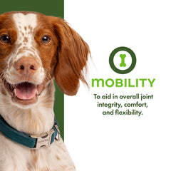 Fromm Nutritionals Mobility Dog Food Supplement Pâté 13oz