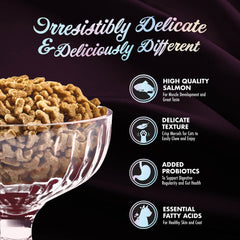 Fromm PurrSnickitty Salmon Splendor Recipe Dry Cat Food 6oz