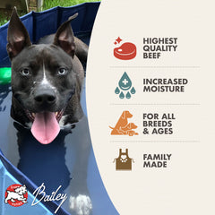 Four-Star Shredded Beef in Gravy Entrée Wet Dog Food 13oz