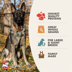 Fromm Gold Adult Large Breed