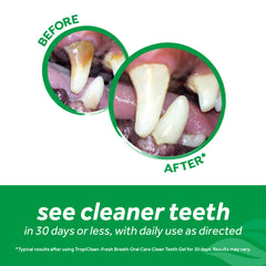 Tropiclean Fresh Breath Oral Care Clean Teeth Gel for Puppies 2oz