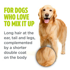 Tropiclean Perfect Fur Combination Coat Shampoo for Dogs 16oz