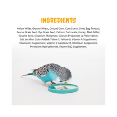 Vitakraft Crunch Sticks Egg & Honey Flavor Treat for Parakeets 1.4oz