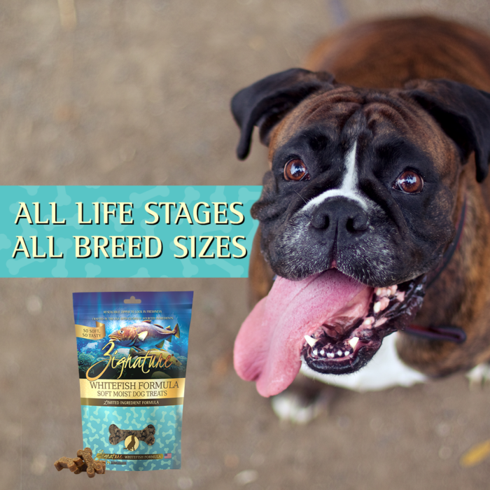 Moist dog treats 2025