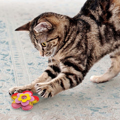 Kong Cat Crackles Bloomz 2-Pack
