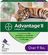 Advantage 11 Large Cat/Rabbit >4kg