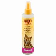Burt's Bees Waterless Shampoo for Cats with Apple and Honey 10oz