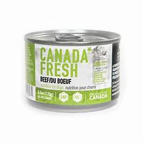PetKind Canada Fresh Beef Formula Wet Dog Food
