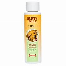 Burt's Bees Soothing Hot Spot Shampoo 16oz