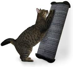 Omega Paw Lean It Everywhere Scratch Post