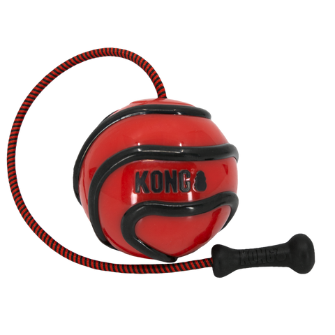 Kong Wava Bunji Ball Dog Toy