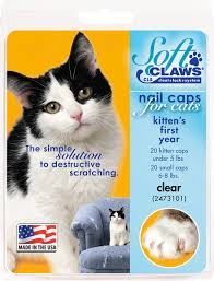 Soft Claws Clear Kitten