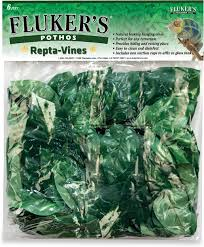 Flukers Repta Vines Pothos