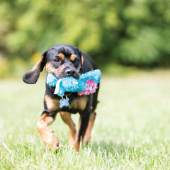 Kong Cozie Rosie Rhino Dog Toy