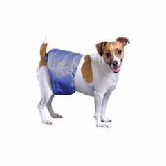 Pooch Pad Pooch Pants Male Diaper Wrap