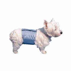 Pooch Pad Pooch Pants Male Diaper Wrap