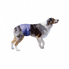 Pooch Pad Pooch Pants Male Diaper Wrap