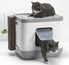 Moderna cat hot sale litter