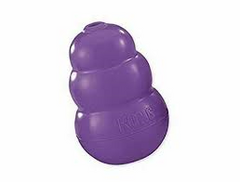Kong Senior