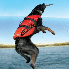 EzyDog Life Jacket