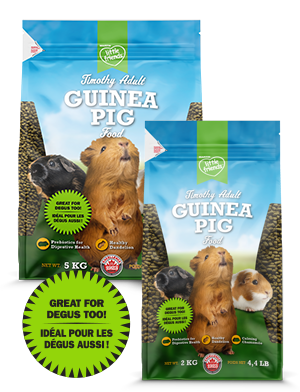 Martin Little Friends Timothy Adult Guinea Pig Food